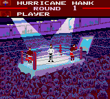 Screenshot of Evander Holyfields Boxing