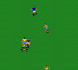 Screenshot of FIFA International Soccer