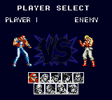 Screenshot of Fatal Fury Special