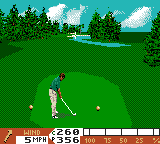 Screenshot of PGA Tour 96