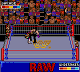 Screenshot of WWF RAW