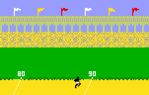 Screenshot of Super Pro Decathlon