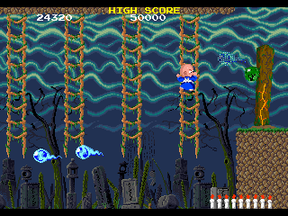 Screenshot of Bonze Adventure (World)