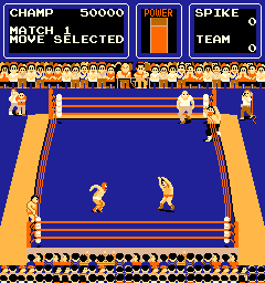 Screenshot of Tag Team Wrestling