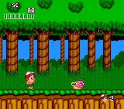 Screenshot of Adventure Island