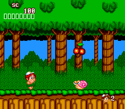 Screenshot of New Adventure Island