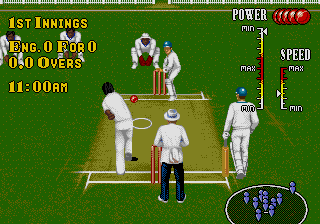 Screenshot of Brian Lara Cricket