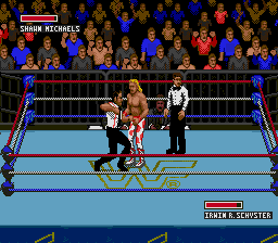 Screenshot of WWF Super Wrestlemania