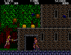 Screenshot of Danan the Jungle Fighter