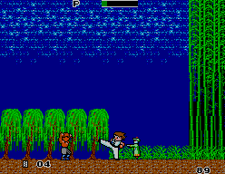 Screenshot of Kung Fu Kid