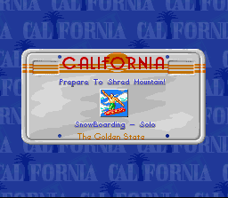 Screenshot of California Games 2