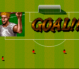 Screenshot of Championship Soccer 94