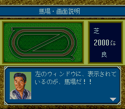 Screenshot of Derby Jockey 2