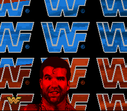 Screenshot of WWF Raw