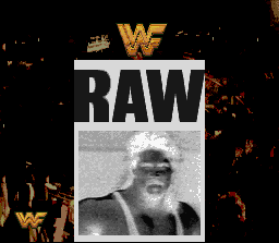 Screenshot of WWF Raw