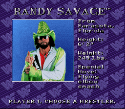 Screenshot of WWF Royal Rumble