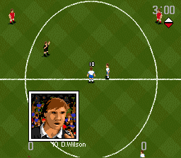 Screenshot of World Cup USA 94