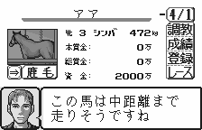 Screenshot of Kyoso Uma Ikusei Simulation Keiba